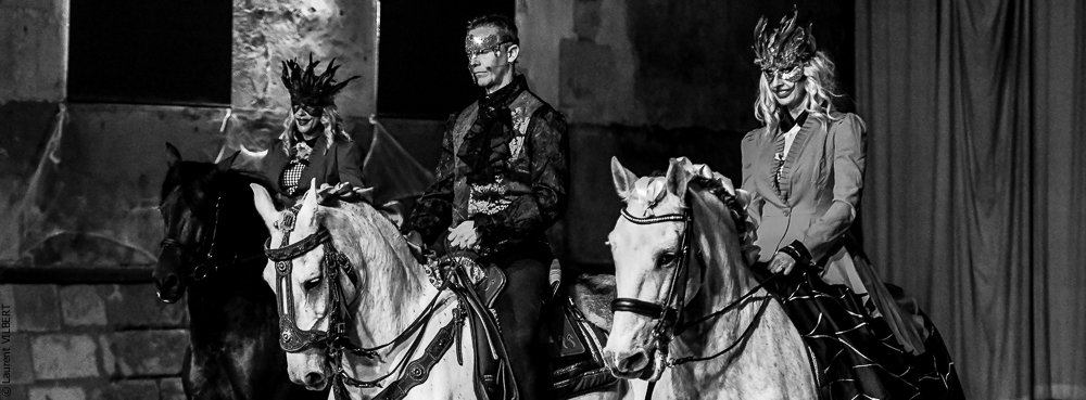 Haras Pin 20221103-0341