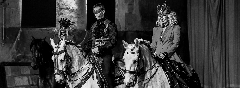 Haras Pin 20221103-0342