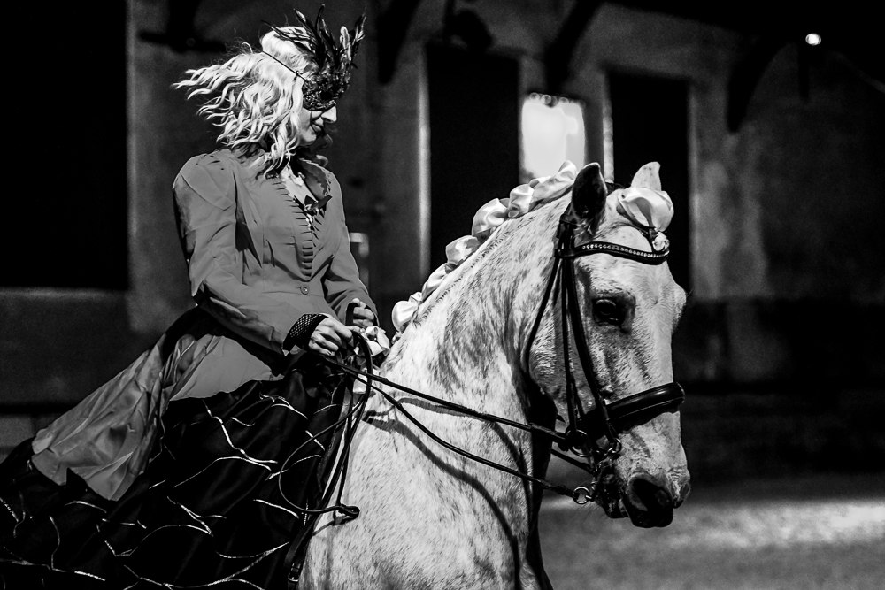 Haras Pin 20221103-0344