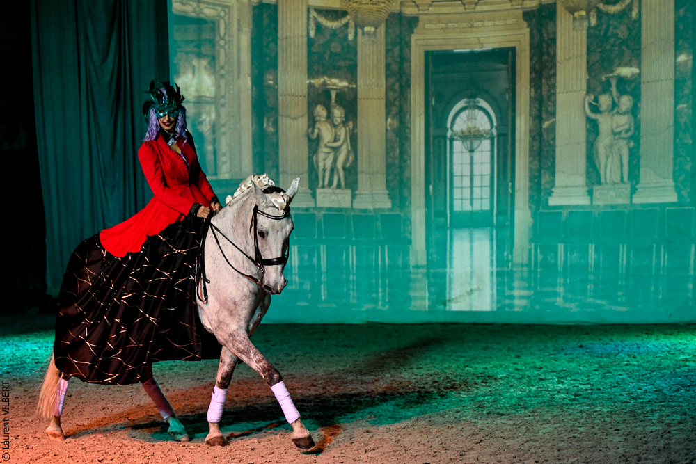 Haras Pin 20221103-0406