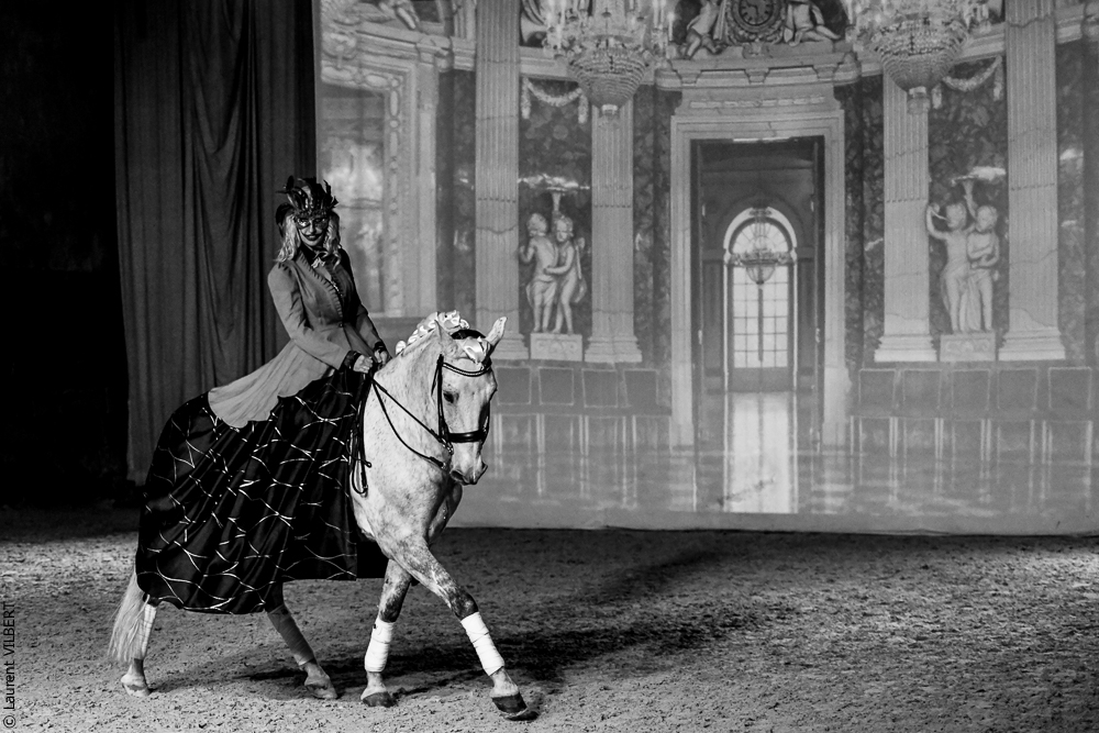 Haras Pin 20221103-0407