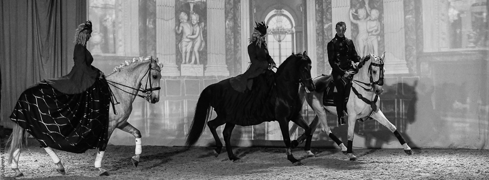 Haras Pin 20221103-0416