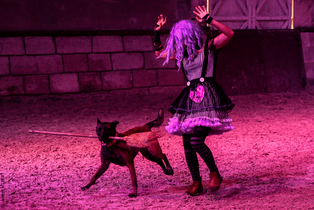 Haras Pin 20221103-0783