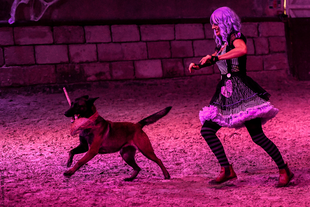 Haras Pin 20221103-0784