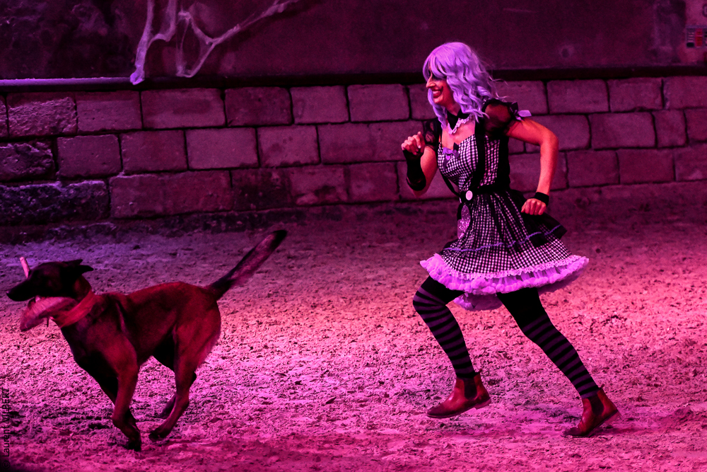 Haras Pin 20221103-0786