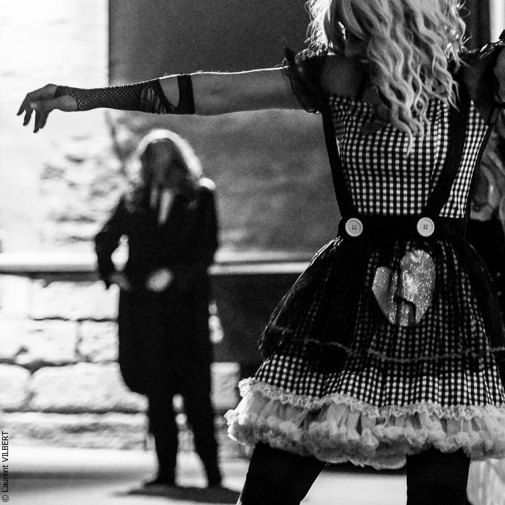 Haras Pin 20221103-0918