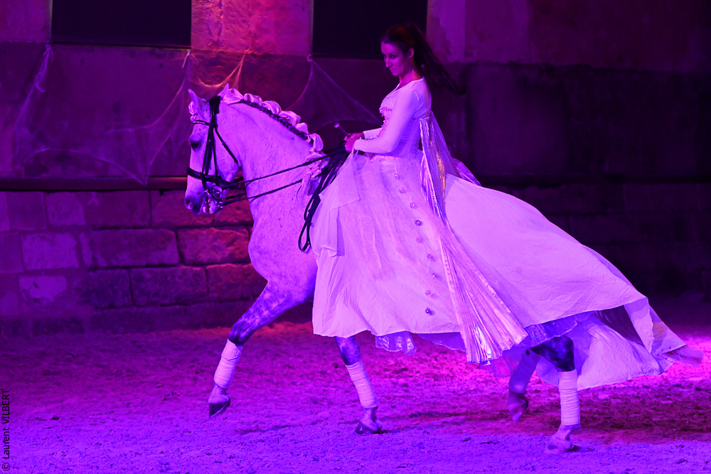 Haras Pin 20221103-1514