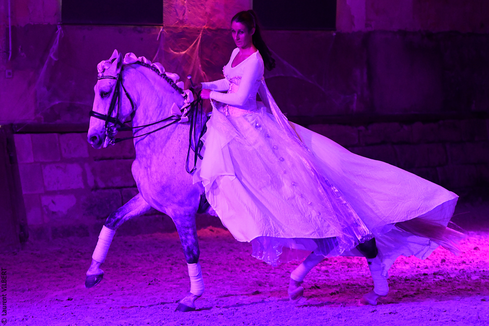 Haras Pin 20221103-1515