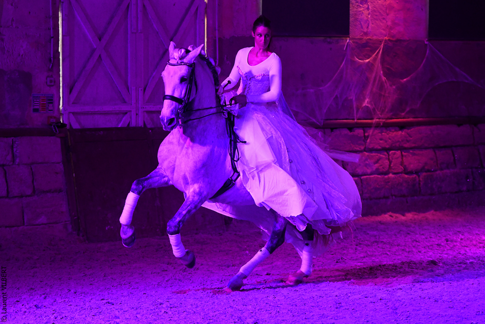 Haras Pin 20221103-1518