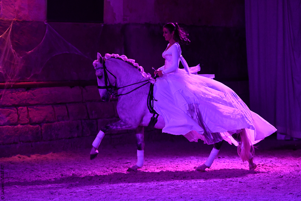 Haras Pin 20221103-1532