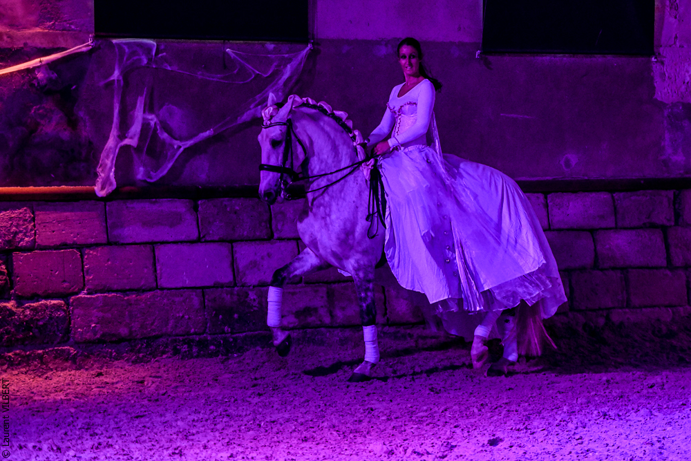 Haras Pin 20221103-1545