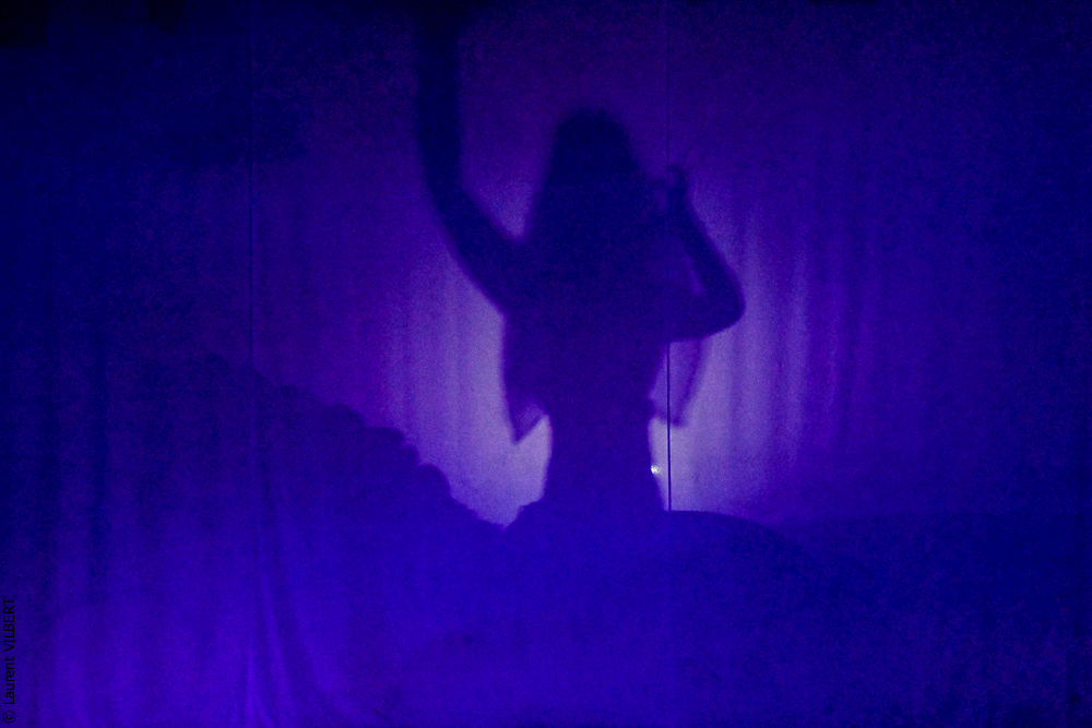 Haras Pin 20221103-1580