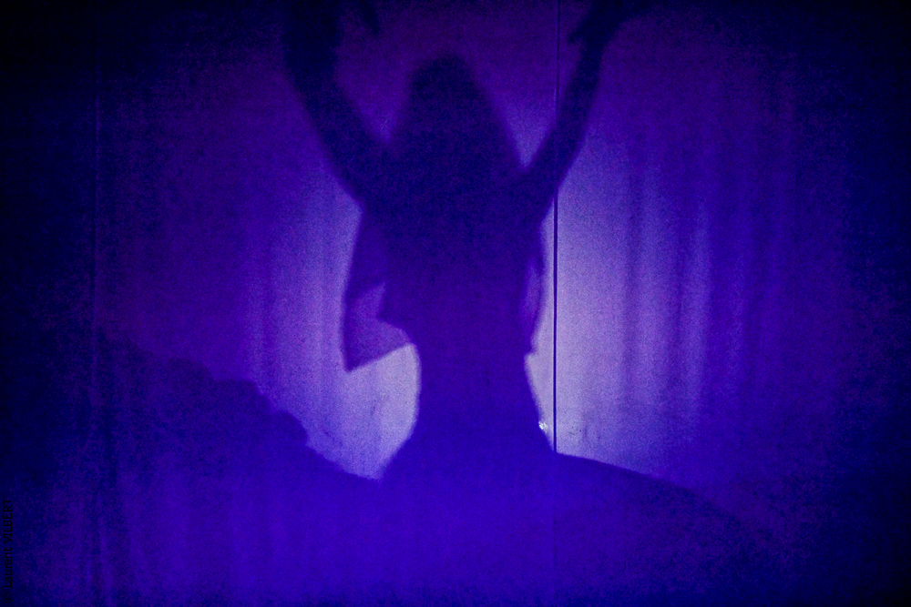 Haras Pin 20221103-1596