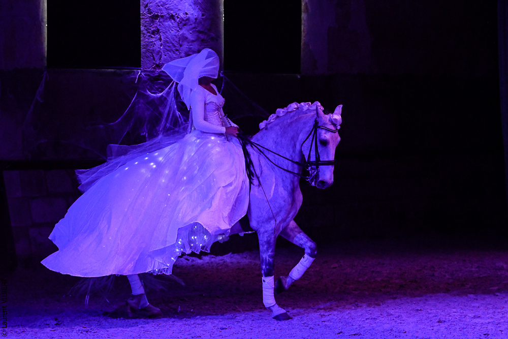 Haras Pin 20221103-1610