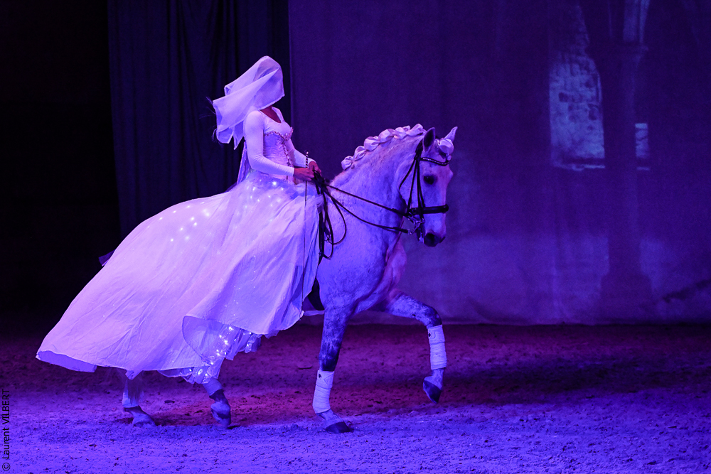 Haras Pin 20221103-1614