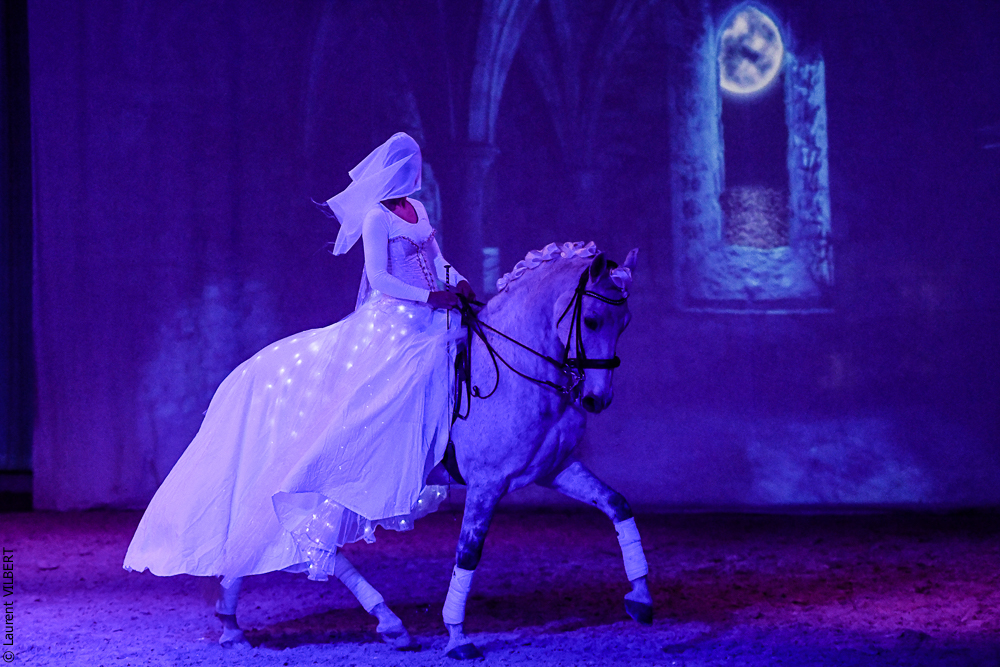 Haras Pin 20221103-1616