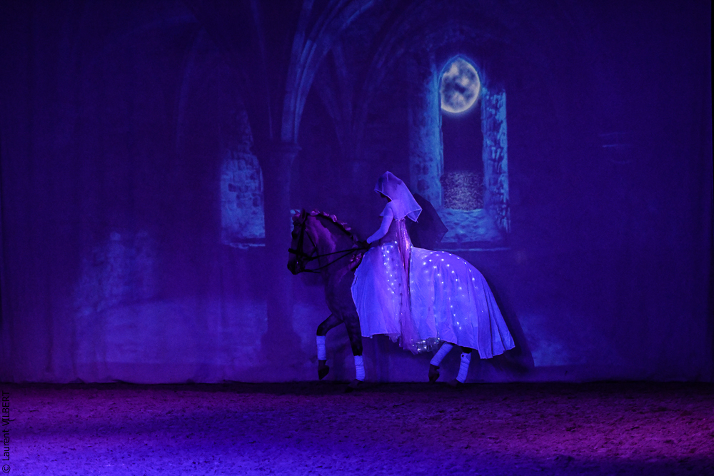 Haras Pin 20221103-1634