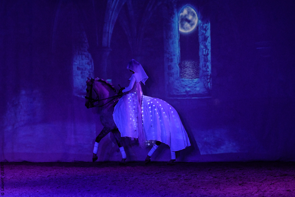 Haras Pin 20221103-1635