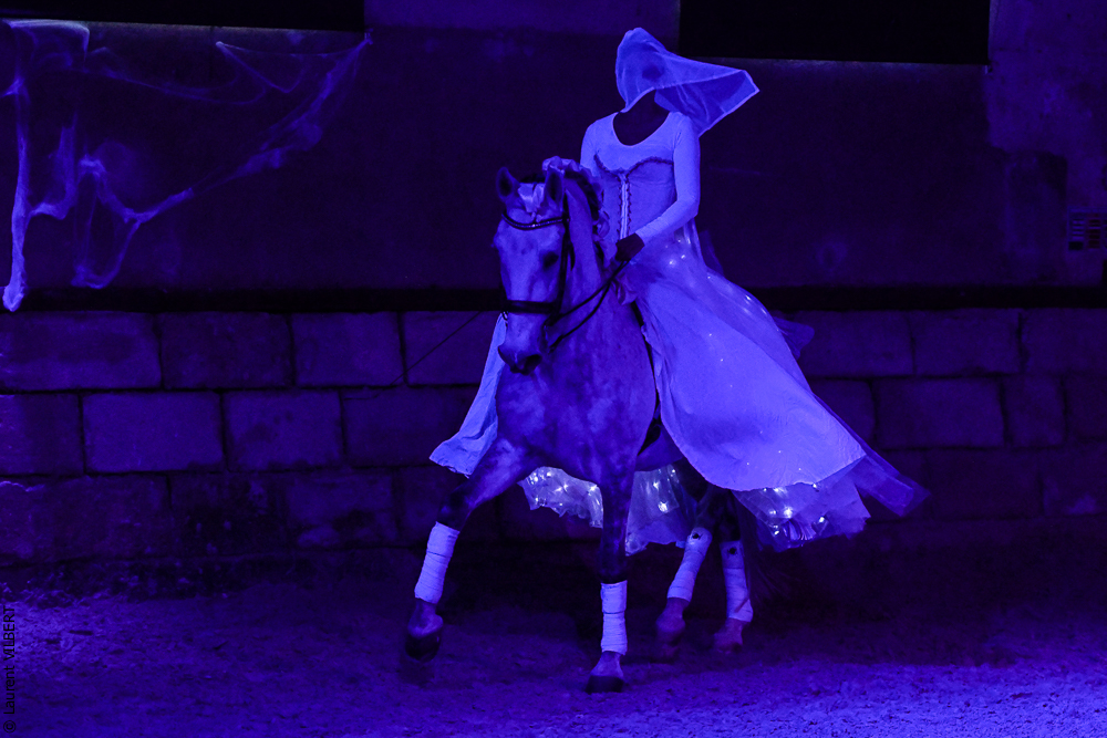 Haras Pin 20221103-1646