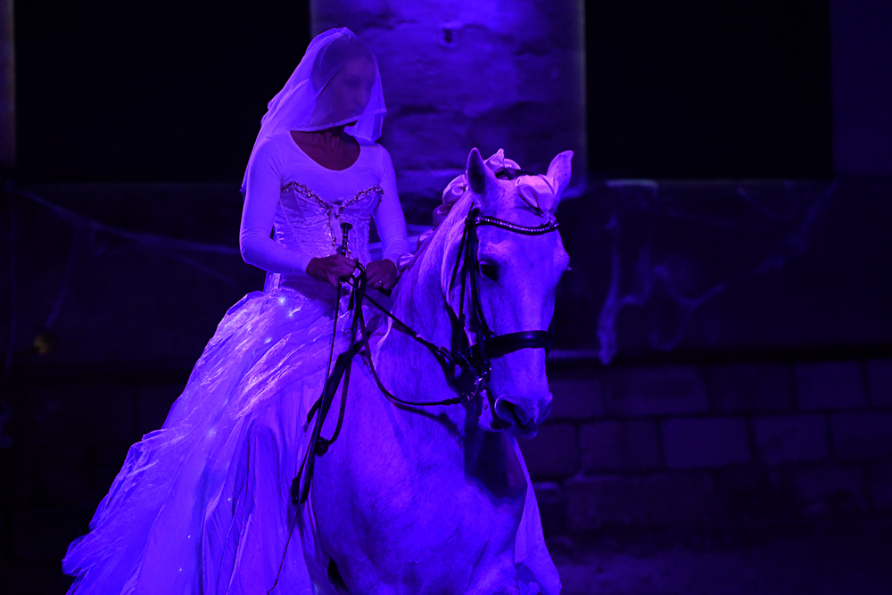 Haras Pin 20221103-1656