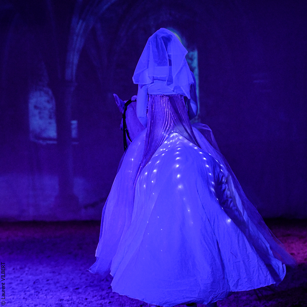 Haras Pin 20221103-1661