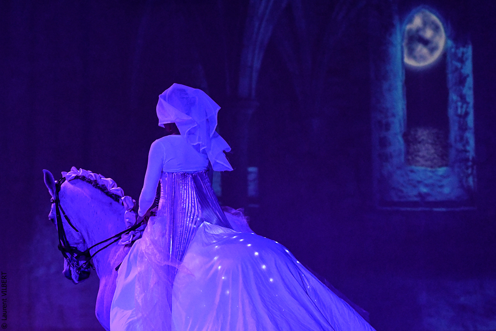 Haras Pin 20221103-1665