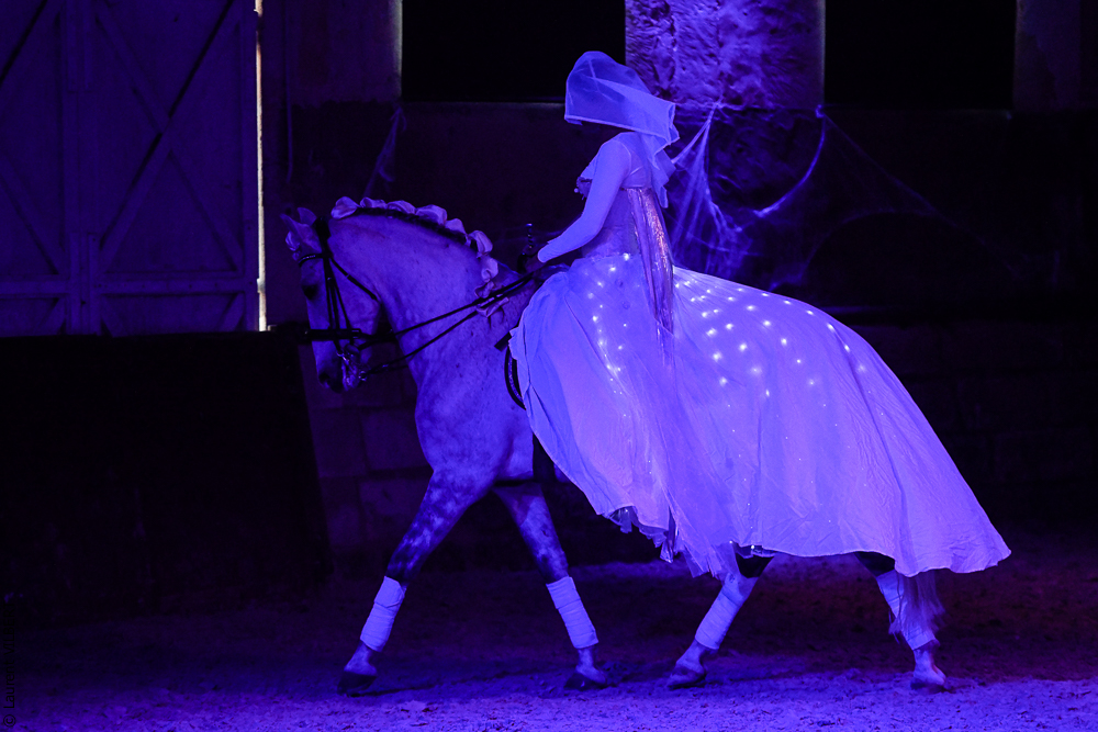 Haras Pin 20221103-1667