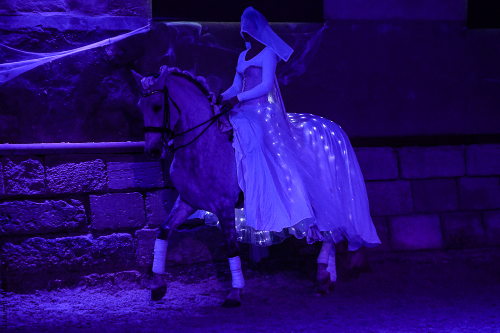 Haras Pin 20221103-1674