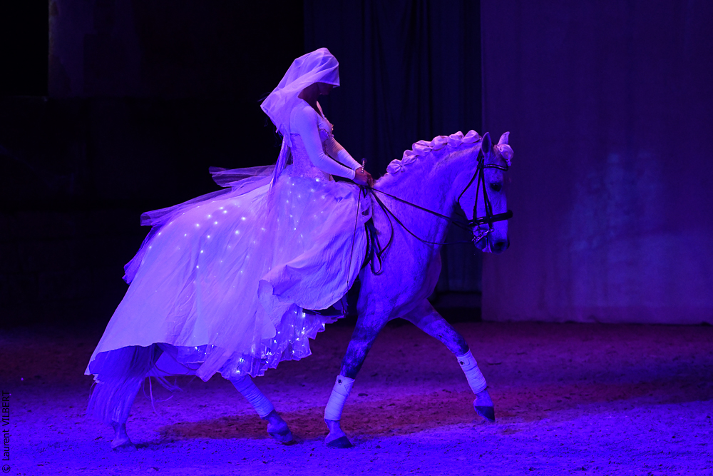 Haras Pin 20221103-1686