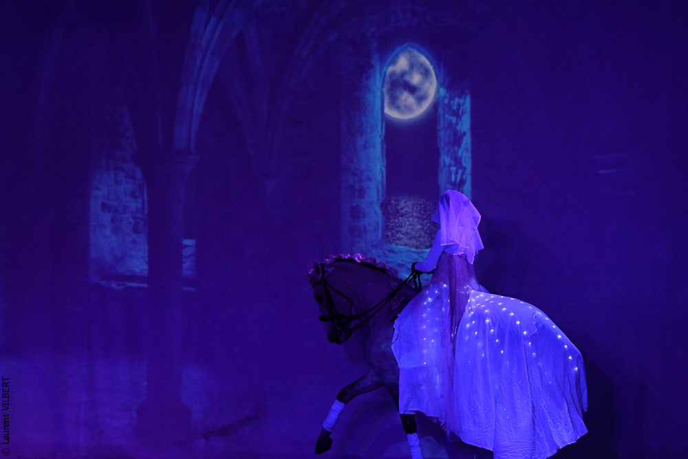 Haras Pin 20221103-1692