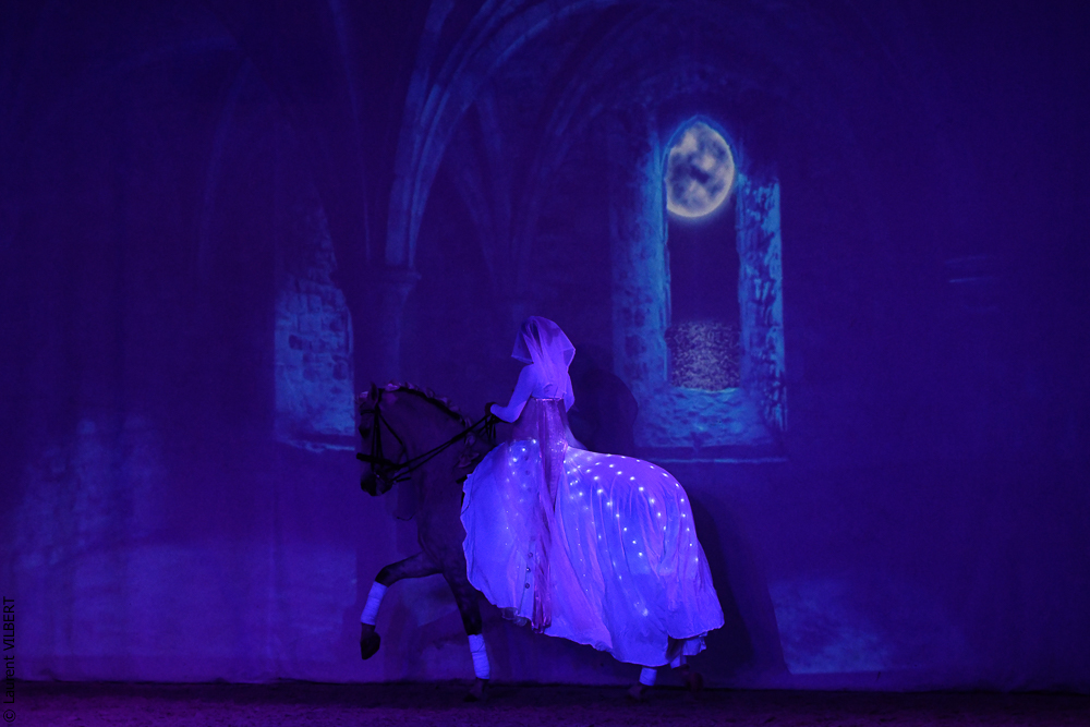 Haras Pin 20221103-1694