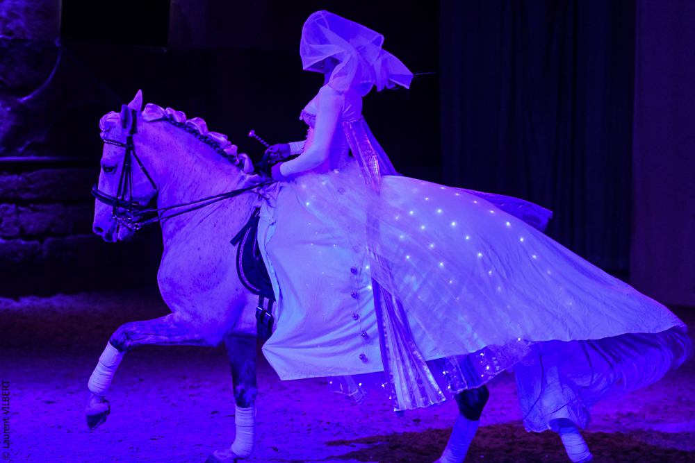 Haras Pin 20221103-1702