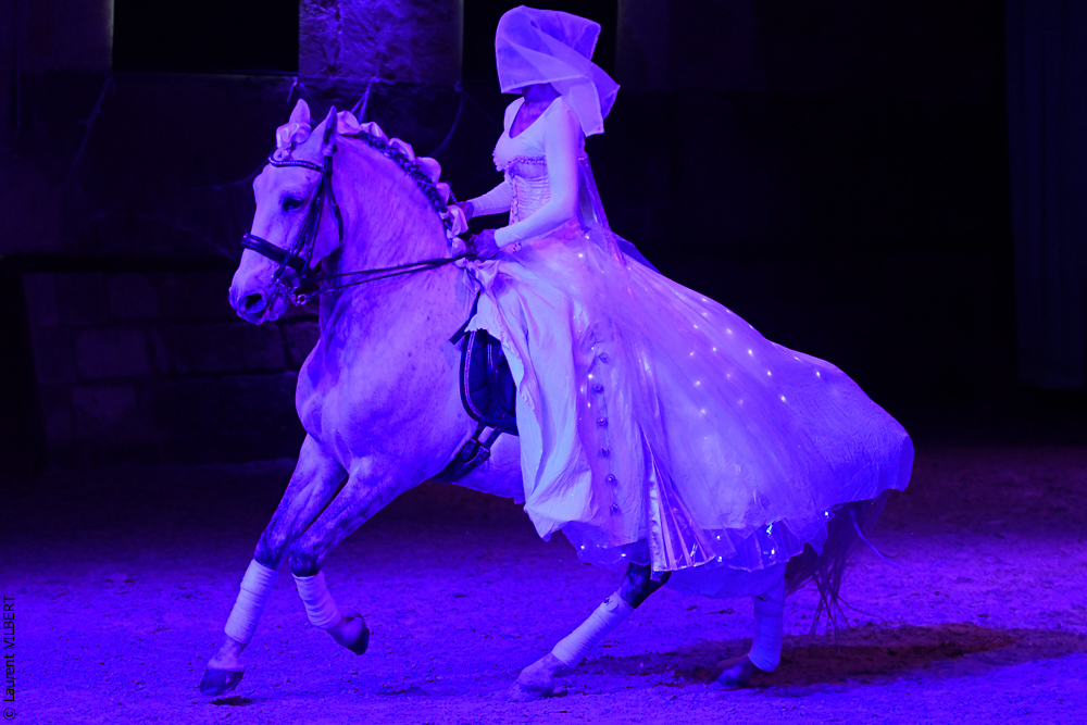 Haras Pin 20221103-1703