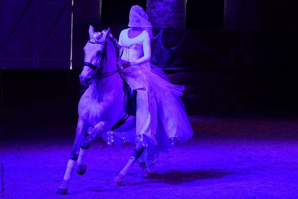 Haras Pin 20221103-1704