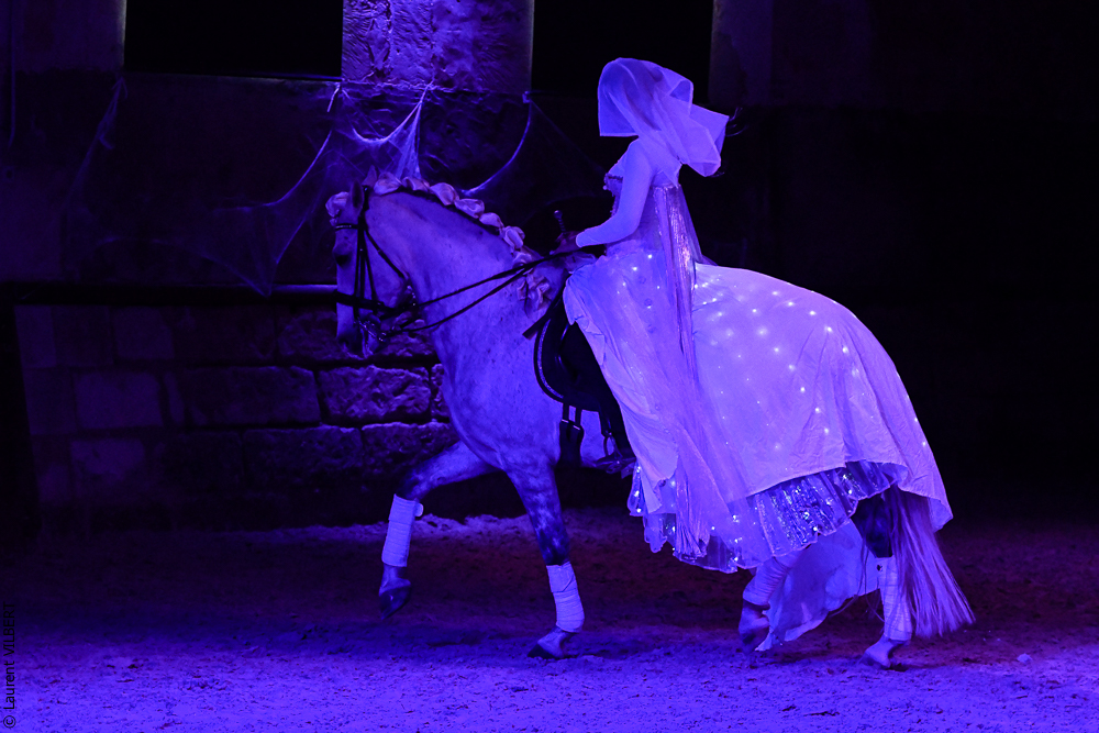 Haras Pin 20221103-1723