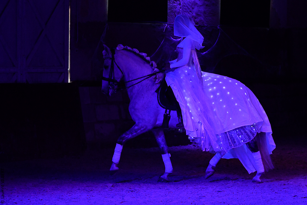 Haras Pin 20221103-1724