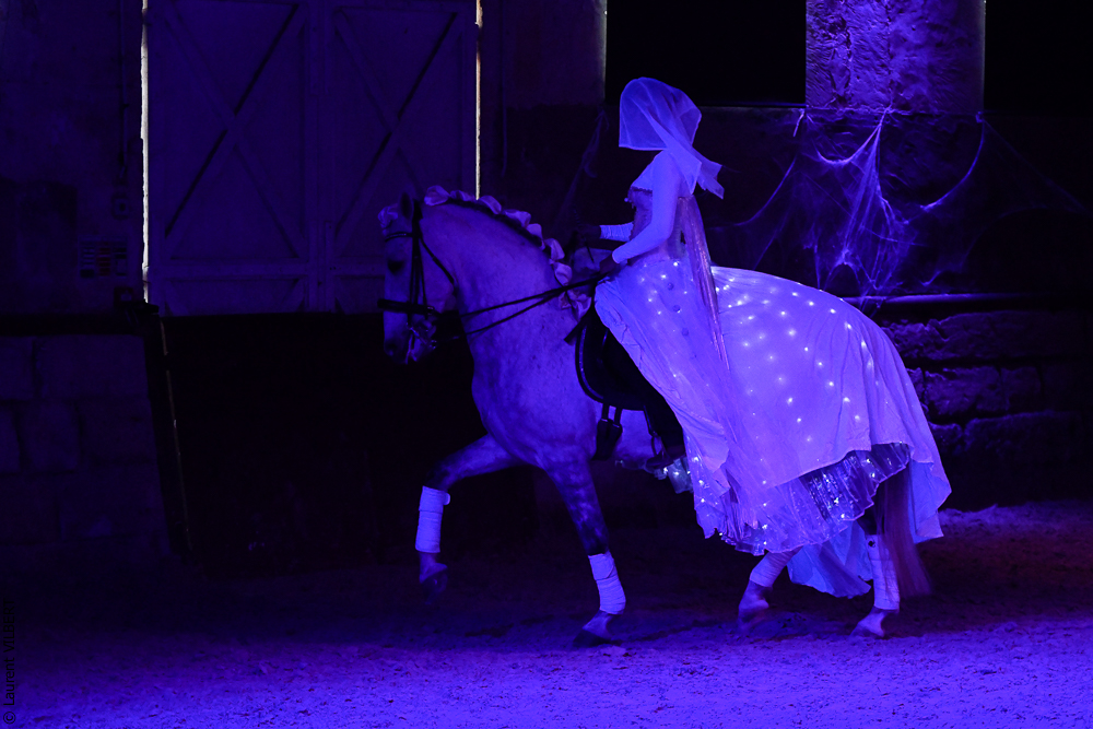 Haras Pin 20221103-1725