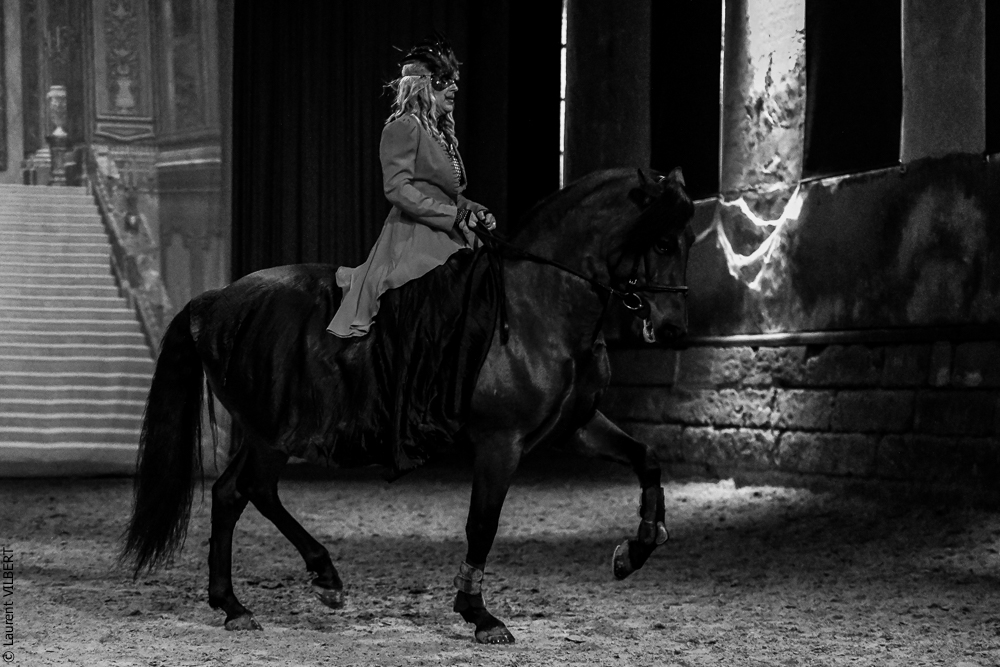 Haras Pin 20221103-0193