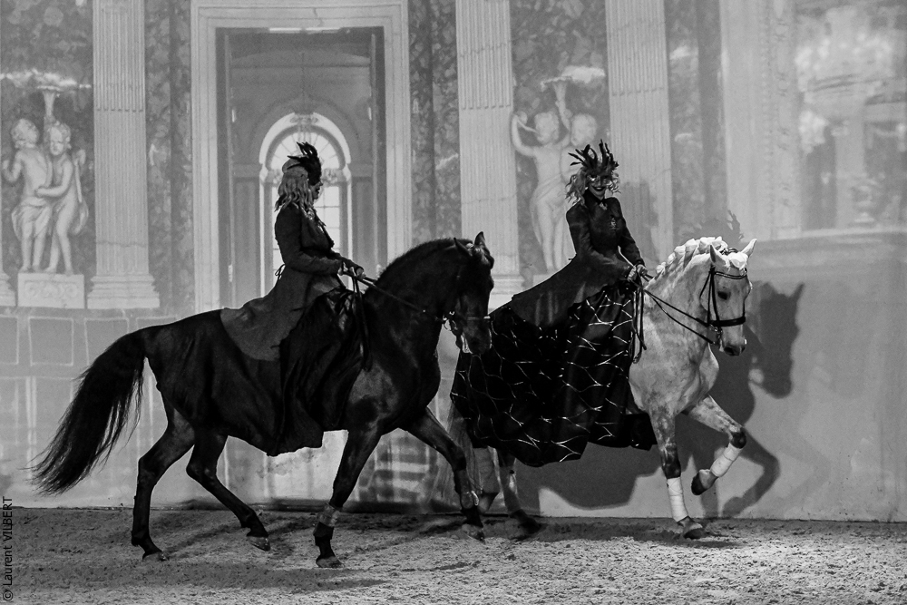 Haras Pin 20221103-0350