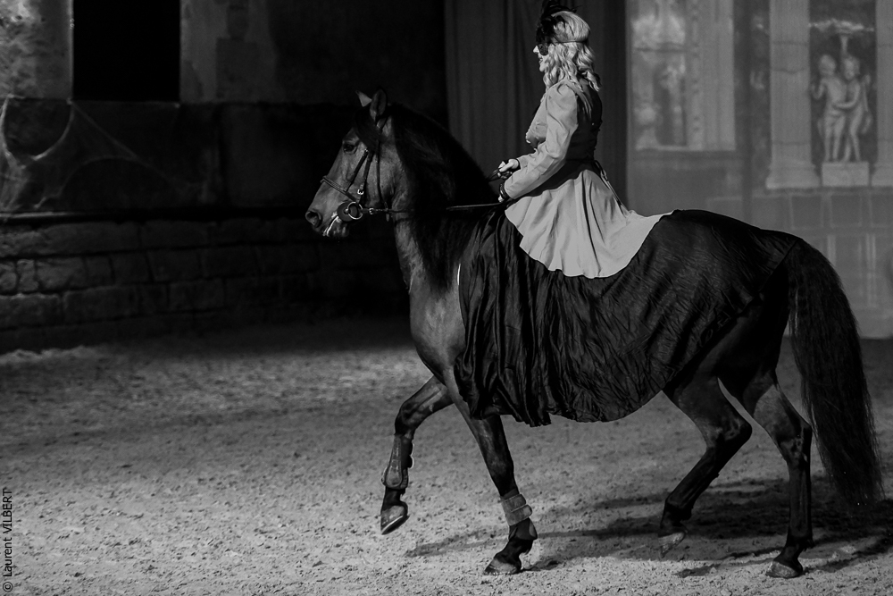 Haras Pin 20221103-0368