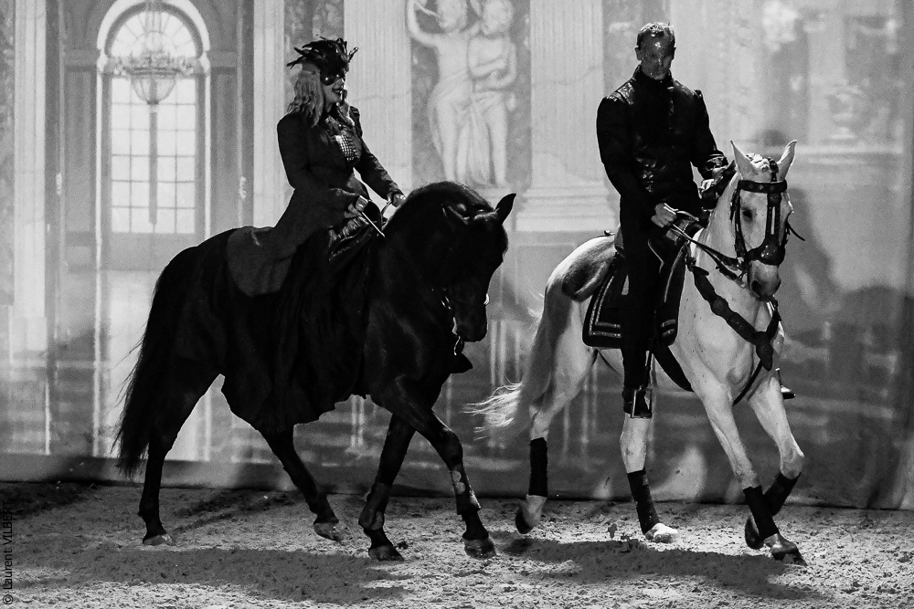 Haras Pin 20221103-0418