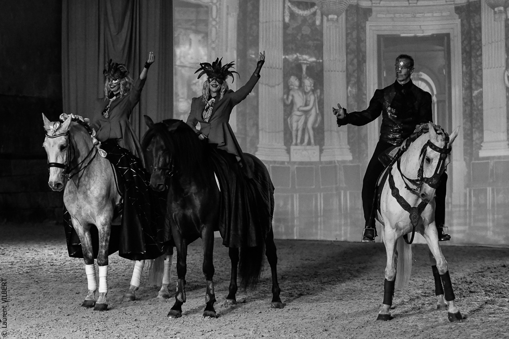 Haras Pin 20221103-0431