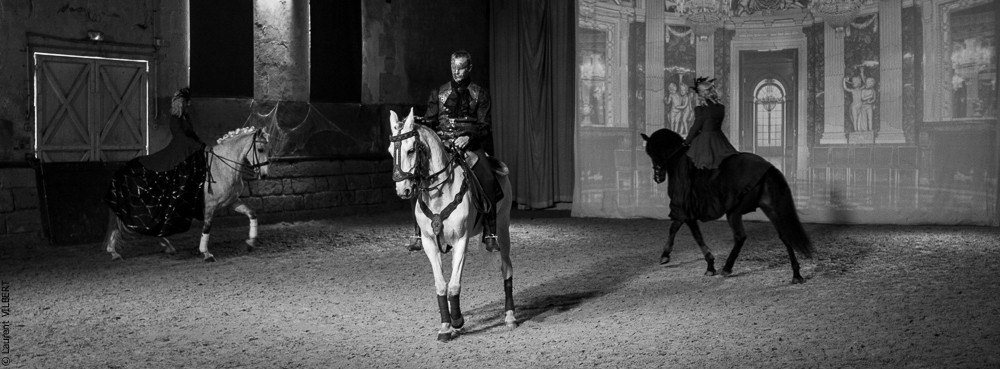 Haras Pin 20221103-0471