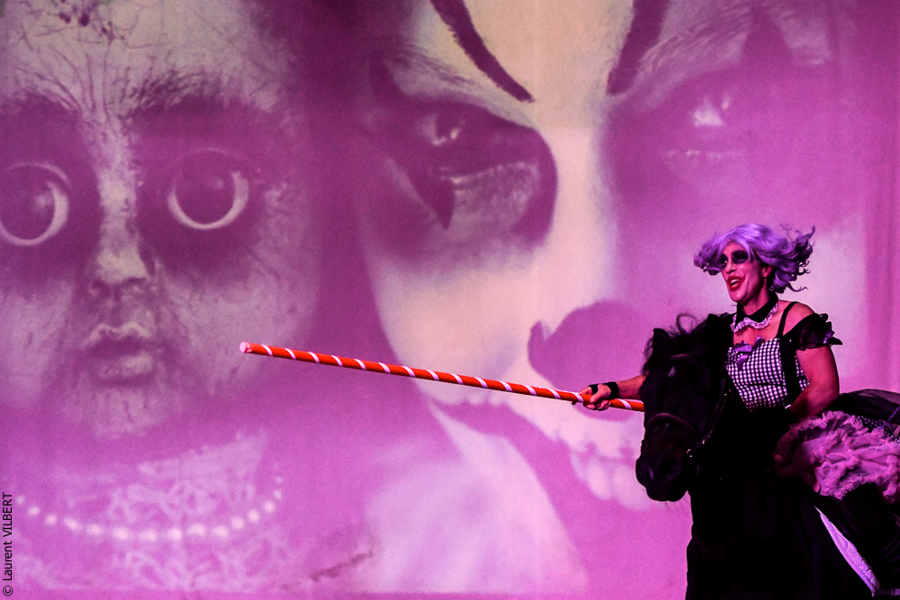 Haras Pin 20221103-0687