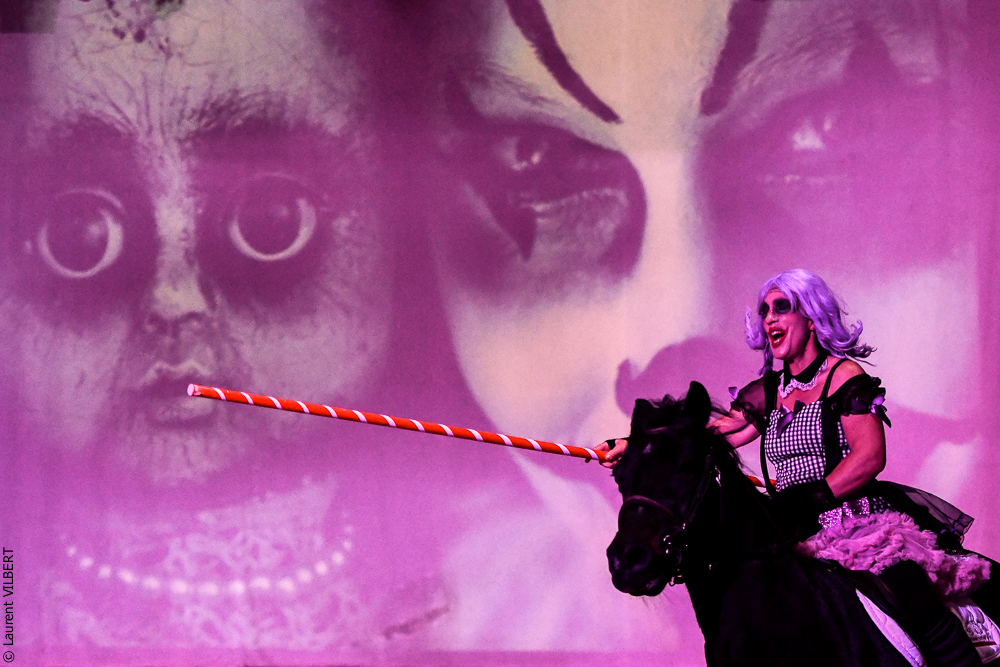 Haras Pin 20221103-0688