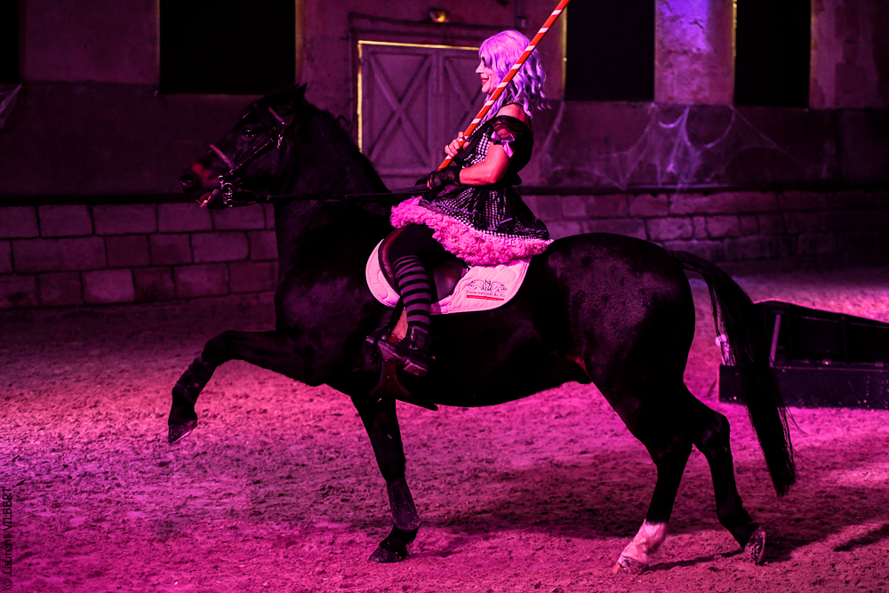 Haras Pin 20221103-0692