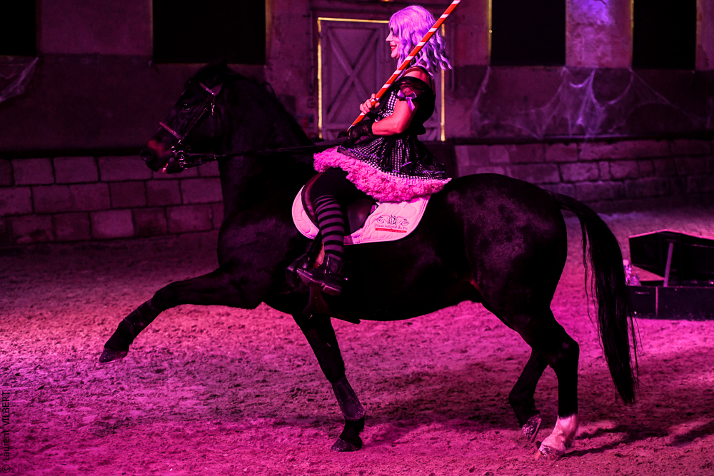 Haras Pin 20221103-0693