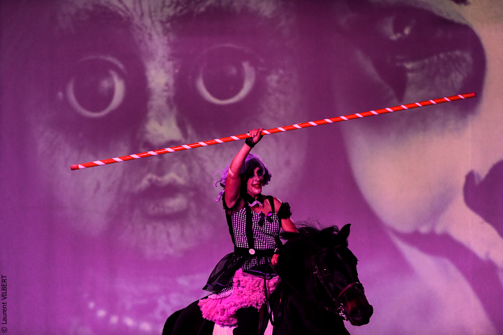 Haras Pin 20221103-0697