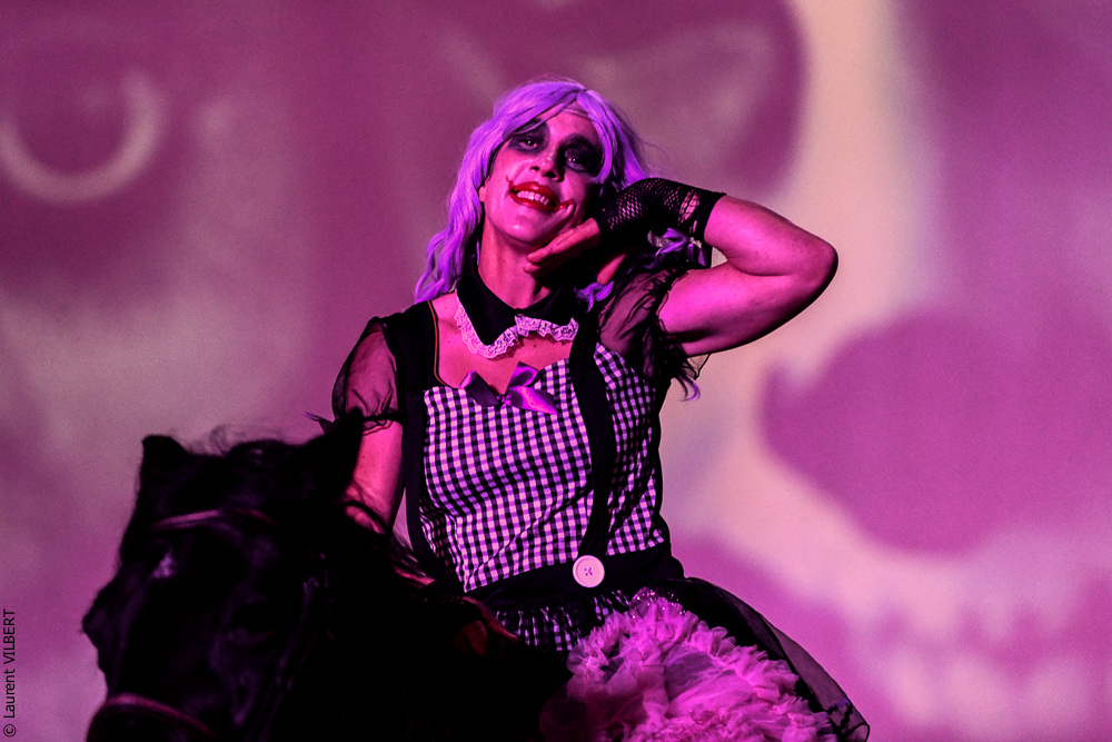 Haras Pin 20221103-0800