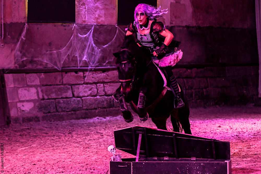 Haras Pin 20221103-0805